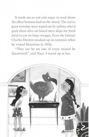 Rani Reports on the Tropical Island Treasure: Book 3 - Gabrielle Shewhorak [KSIĄŻKA]