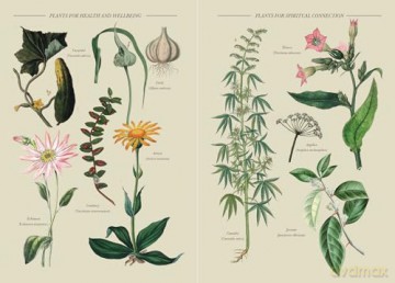A Practical Guide to Magic in Nature - Jessica Lahoud [KSIĄŻKA]