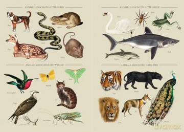 A Practical Guide to Magic in Nature - Jessica Lahoud [KSIĄŻKA]