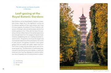 Rough Guides City Stories: London Seasons - Rough Guides [KSIĄŻKA]