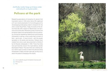 Rough Guides City Stories: London Seasons - Rough Guides [KSIĄŻKA]