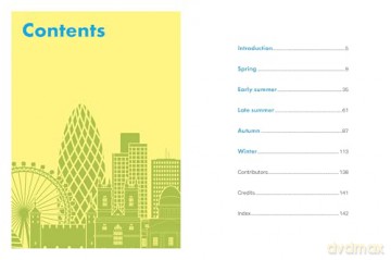Rough Guides City Stories: London Seasons - Rough Guides [KSIĄŻKA]