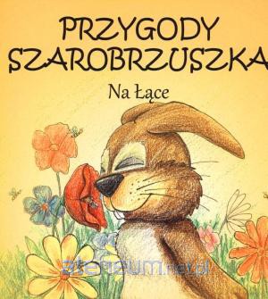 Przygody Szarobrzuszka. Na łące. [KSIĄŻKA]