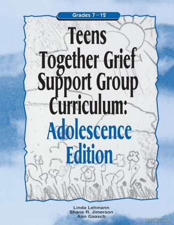 Teens Together Grief Support Group Curriculum: Adolescence Edition: Grades 7-12 (Mourning Child Grief Support Group Curriculum) - Linda Lehmann [KSIĄŻKA]