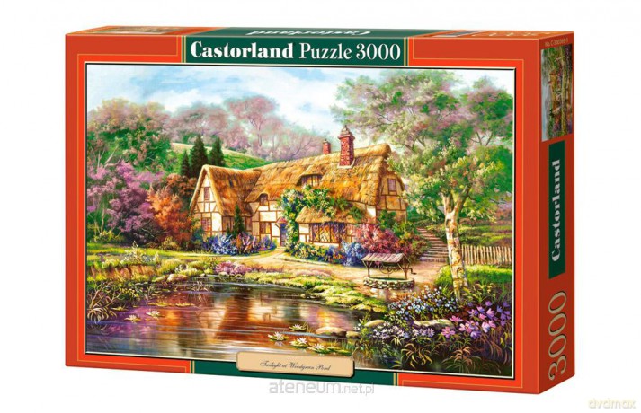 CASTOR Puzzle 3000 Twilight at Woodgreen Pond 131851 [PUZZLE]