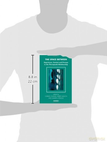 The Space Between: Experience, Context, and Process in the Therapeutic Relationship (The Systemic Thinking and Practice Series) - Carmel Flaskas [KSIĄŻKA]