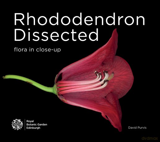 Rhododendron Dissected: Flora in Close-up - David Purvis [KSIĄŻKA]