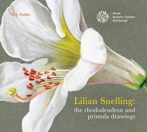 Lillian Snelling: The Rhododendron and Primula Drawings - Henry Noltie [KSIĄŻKA]