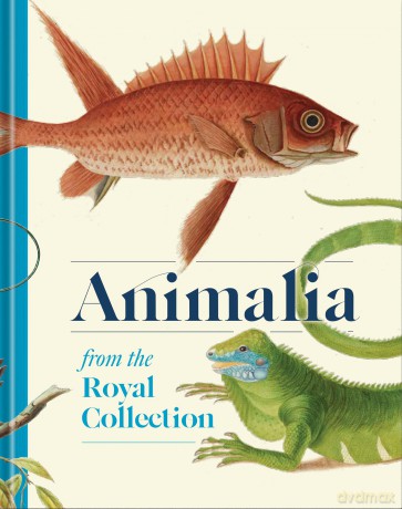 Animalia: From the Royal Collection - Andrew Brown [KSIĄŻKA]