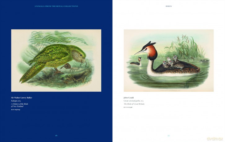 Animalia: From the Royal Collection - Andrew Brown [KSIĄŻKA]