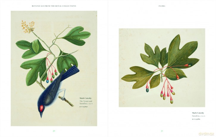 Botanicals: From the Royal Collection (Royal Collection Trust) - Alice Alder [KSIĄŻKA]
