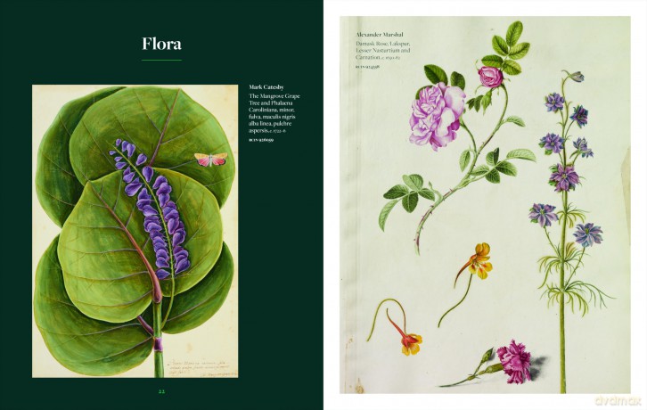 Botanicals: From the Royal Collection (Royal Collection Trust) - Alice Alder [KSIĄŻKA]