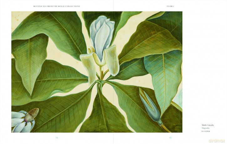 Botanicals: From the Royal Collection (Royal Collection Trust) - Alice Alder [KSIĄŻKA]