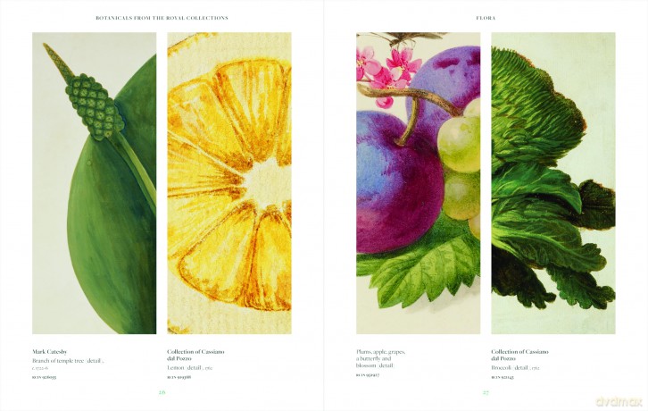 Botanicals: From the Royal Collection (Royal Collection Trust) - Alice Alder [KSIĄŻKA]