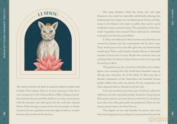 Cat Gods, Goddesses, Deities, and Demons: A Guide to Feline Folklore and Mythology - Natalie Bovis [KSIĄŻKA]