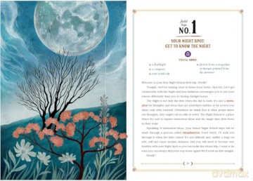 The Night School for Young Mystics: Five Fabulous Field Trips into Moonlight and Magic - Maia Toll [KSIĄŻKA]
