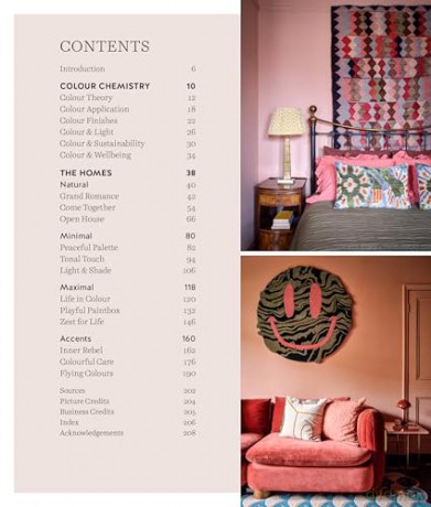 Colourful Homes for the Soul: Bright ideas for sustainable homes - Sara Bird [KSIĄŻKA]