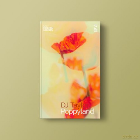 Poppyland (Salt Modern Stories) - D. J. Taylor [KSIĄŻKA]