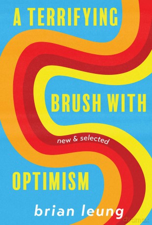A Terrifying Brush with Optimism: New and Selected Stories - Brian Leung [KSIĄŻKA]