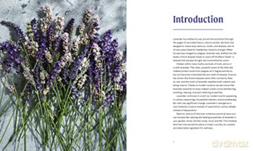 Lavendar: 50 Self-Care Recipes for Natural Wellness - Louise Bonnie Gillis [KSIĄŻKA]
