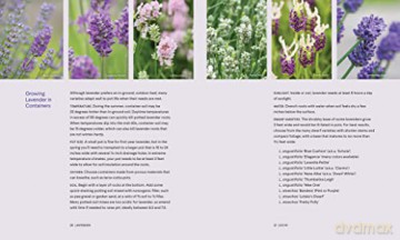 Lavendar: 50 Self-Care Recipes for Natural Wellness - Louise Bonnie Gillis [KSIĄŻKA]