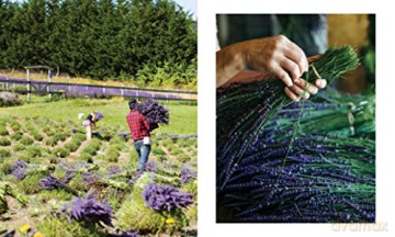 Lavendar: 50 Self-Care Recipes for Natural Wellness - Louise Bonnie Gillis [KSIĄŻKA]