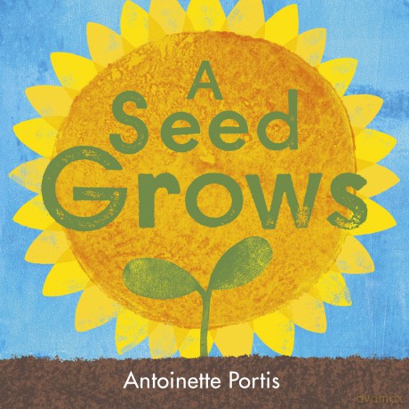 A Seed Grows - Antoinette Portis [KSIĄŻKA]