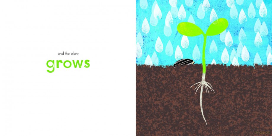 A Seed Grows - Antoinette Portis [KSIĄŻKA]