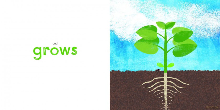 A Seed Grows - Antoinette Portis [KSIĄŻKA]