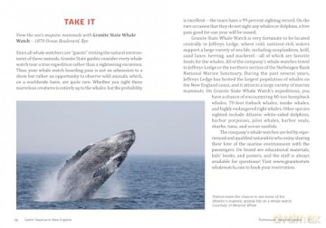 Gettin' Nautical in New England: Maine, New Hampshire, Massachusetts, Rhode Island, Connecticut: 2 (The Immersive Travel Guide) - Daniel Seddiqui [KSIĄŻKA]