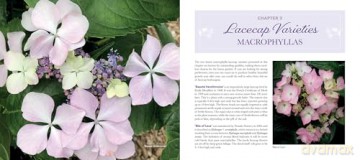 Lovely Lacecap Hydrangeas: Elegant Accents for the Home Garden - Joan Harrison [KSIĄŻKA]