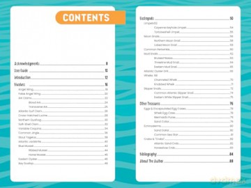 Seashells of the Jersey Shore: Identify and Learn about the Shells You Find on the Beach: 1 (Identify and Learn About Seashells: Handy User Guides with Photos) - Melissa Avstreih [KSIĄŻKA]