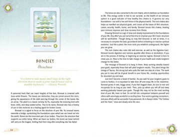 The Herbal Healing Deck: (Oracle Kit Box Set with 48 Cards and Guide Book) - Ashley Verkamp [KSIĄŻKA]