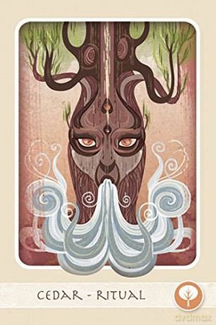 The Herbal Healing Deck: (Oracle Kit Box Set with 48 Cards and Guide Book) - Ashley Verkamp [KSIĄŻKA]