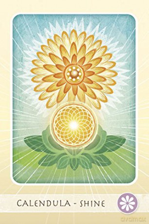 The Herbal Healing Deck: (Oracle Kit Box Set with 48 Cards and Guide Book) - Ashley Verkamp [KSIĄŻKA]