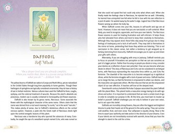 The Herbal Healing Deck: (Oracle Kit Box Set with 48 Cards and Guide Book) - Ashley Verkamp [KSIĄŻKA]