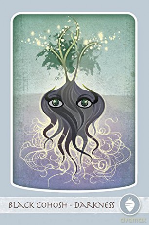 The Herbal Healing Deck: (Oracle Kit Box Set with 48 Cards and Guide Book) - Ashley Verkamp [KSIĄŻKA]