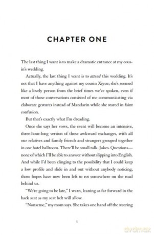 Never Thought I'd End Up Here: the next gorgeous rom-com from the author of I Hope This Doesn't Find You - Ann Liang [KSIĄŻKA]