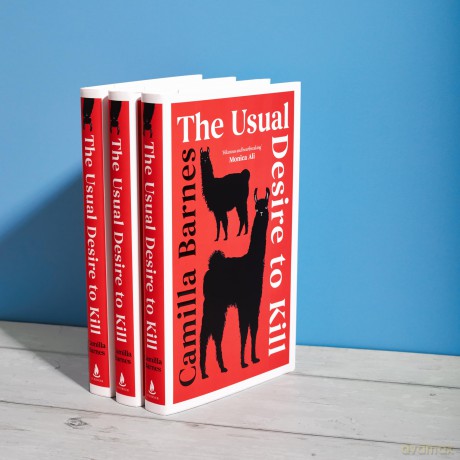 The Usual Desire to Kill - Camilla Barnes [KSIĄŻKA]