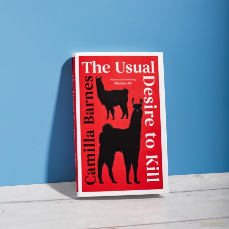 The Usual Desire to Kill - Camilla Barnes [KSIĄŻKA]