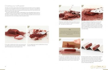 Drawn from the Wild: A practical guide to making your own foraged art materials - Caroline Ross [KSIĄŻKA]
