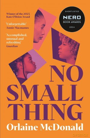No Small Thing: Shortlisted for the 2024 Nero Book Awards for Debut Fiction - Orlaine McDonald [KSIĄŻKA]