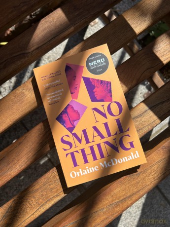 No Small Thing: Shortlisted for the 2024 Nero Book Awards for Debut Fiction - Orlaine McDonald [KSIĄŻKA]
