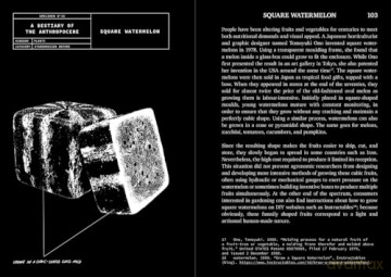 A Bestiary of the Anthropocene: Hybrid Plants, Animals, Minerals, Fungi, and Other Specimens - Nicholas Nova [KSIĄŻKA]