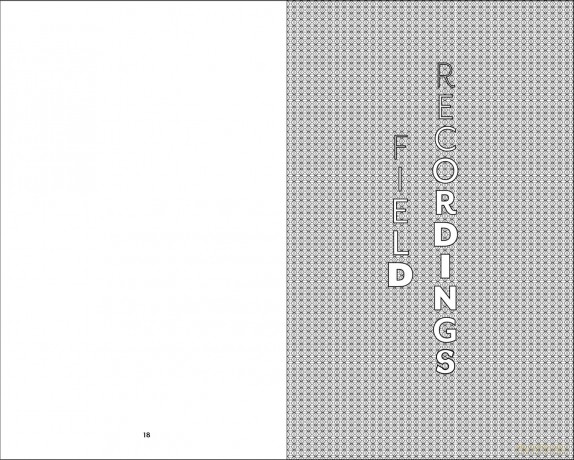 Volumes: Design Reviewed Remixed Revealed - Kenneth FitzGerald [KSIĄŻKA]