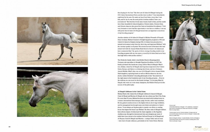 Al Shaqab: The Legacy of Arabian Horses - Judith Forbis [KSIĄŻKA]