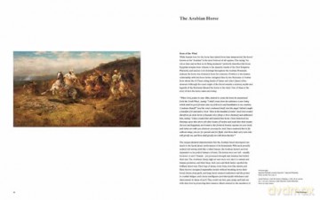 Al Shaqab: The Legacy of Arabian Horses - Judith Forbis [KSIĄŻKA]