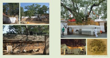 Gardens of Sri Lanka: 2000 Years of Garden and Landscape Design Tradition - Senake Bandaranayake [KSIĄŻKA]