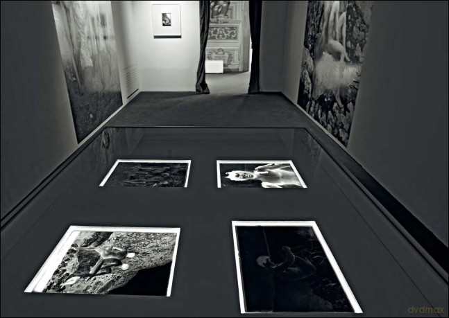 Mapplethorpe/Von Gloeden: Beauty and Desire - Muriel Prandato [KSIĄŻKA]