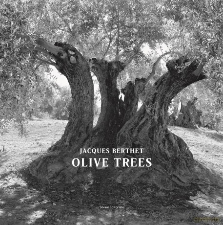 Olive Trees: Jacques Berthet - Photographs by Jacques Berthet [KSIĄŻKA]